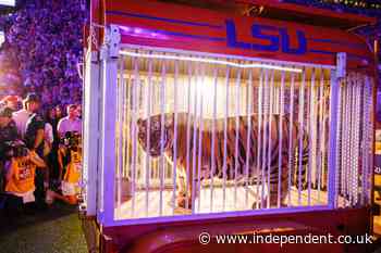 LSU student accused of threatening to kill governor who endorsed having a live tiger at football game