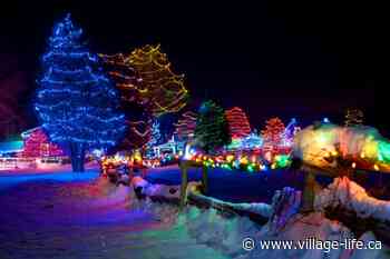 This Ontario village is transforming into a magical winter wonderland with over one million lights