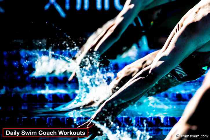 Daily Swim Coach Workout #973