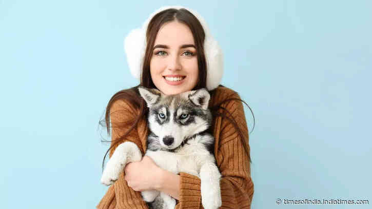 5 popular types of Huskies to have as pets