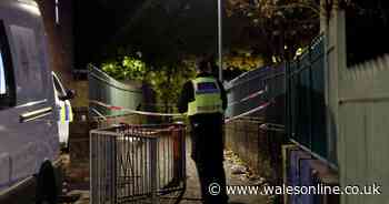 Police arrest 20-year-old on suspicion of Cardiff murder