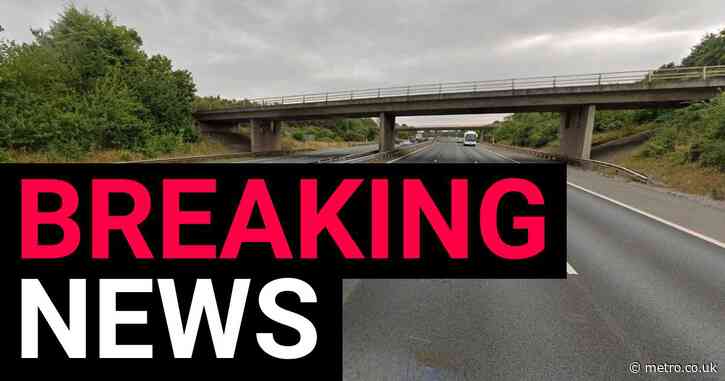 Teenage girl killed in horror crash on the M5 after leaving police car is named