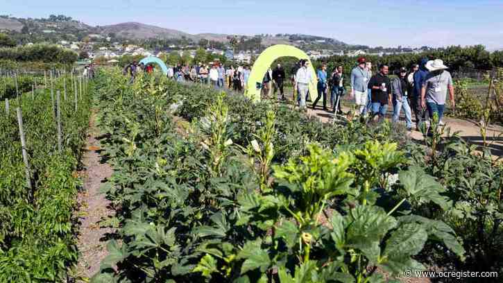 Farmers, educators aim to make organic produce available in California public schools