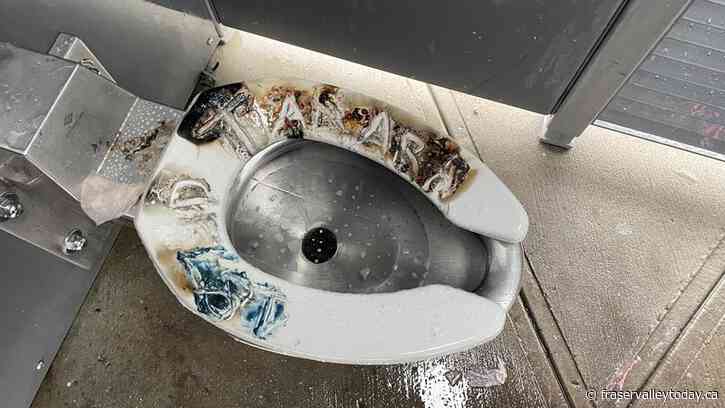 Public restroom in downtown Chilliwack repeatedly damaged, ‘abused’: Mayor Popove