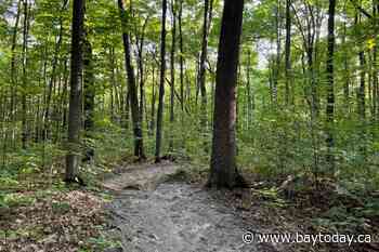 North Bay escarpment seeking 'premier trails destination' status