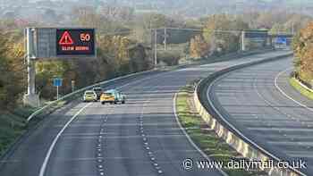 Girl, 17, hit and killed on the M5 after being struck by vehicle after escaping police car is named