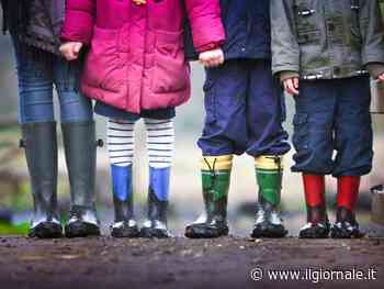 Pronomi neutri all'asilo e raccolte fondi per trans a scuola: Scozia ostaggio del gender