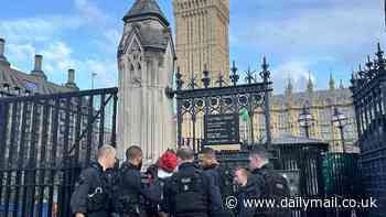 Armour-clad man, 34, turned up to Houses of Parliament with two samurai swords and asked to speak to Boris Johnson, court hears