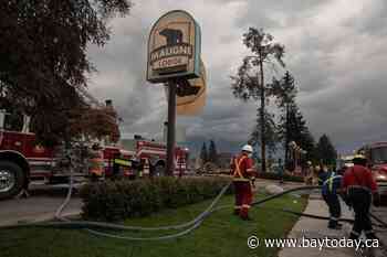 Federal government offers grants for small businesses in fire-stricken Jasper, Alta.