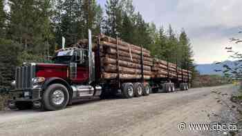 Stolen logging truck recovered after chase near Quesnel, B.C.