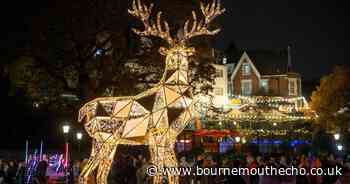 It's Christmas! Bournemouth Christmas Tree Wonderland is back today