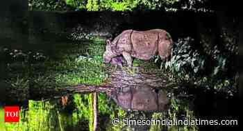 First rhino born in Guwahati zoo in a decade, name game on