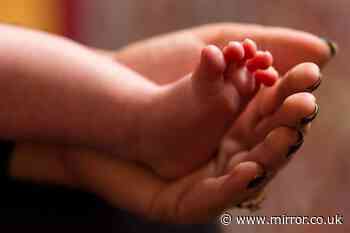 Covid-19 virus could increase the risk of children being born with heart defects