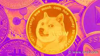 Dogecoin Surges Following Elon Musk News. What's Going on With This Popular Meme Coin?