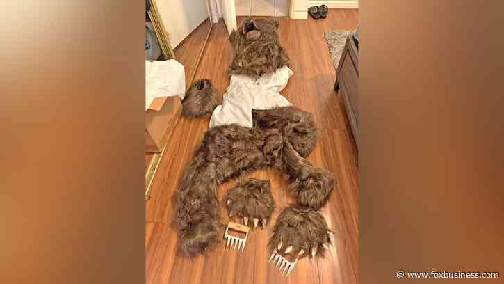 Person in bear costume attacks luxury cars in insurance scam, California insurers say