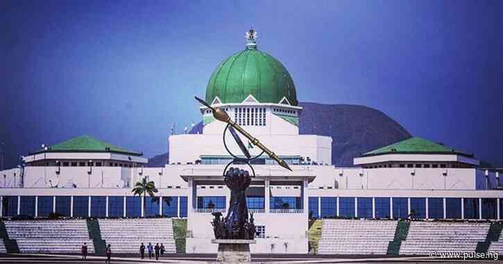 NASS's 'Coastal Guards Bill' faces rejection - here's what you need to know