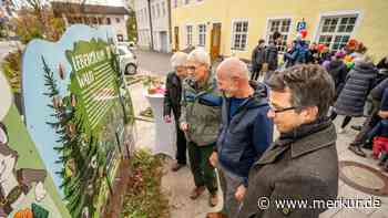 Wissenswertes auf gut zwei Kilometern: Neuer Bergwald-Erlebnispfad in Wolfratshausen