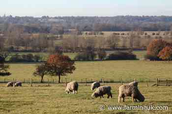 Farmers see incomes plummet as NFU calls outlook &#39;stark&#39; for many