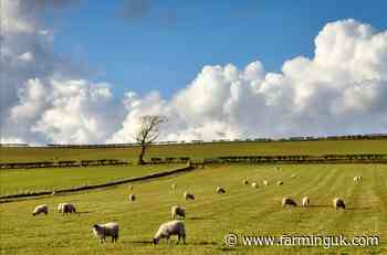 Survey: Half of farm families could break inheritance promises