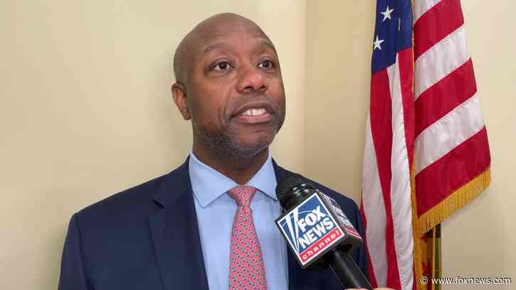 Trump ally Sen. Tim Scott's new mission to help incoming president: 'increase the majority'