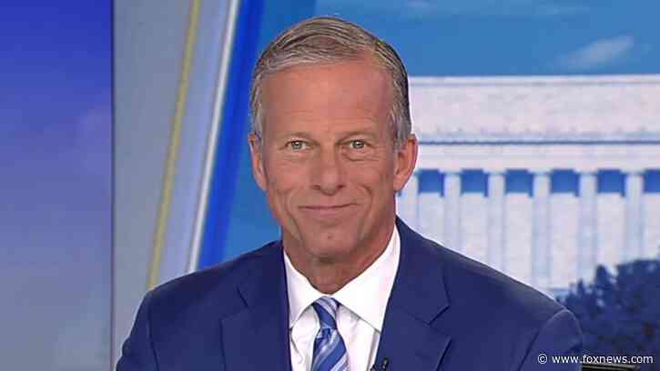 'All the options' are on the table to get Trump's Cabinet picks through confirmation, says Sen. John Thune