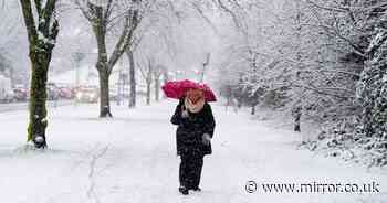 Met Office major snow 'warning' as almost all of UK expected to plunge to -4C in days