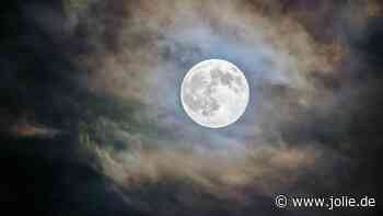 Für 3 Sternzeichen hat der Stier-Vollmond am 15. November eine besondere Bedeutung