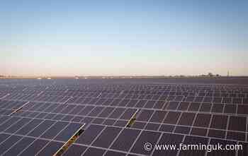 Plans to build UK’s largest solar farm submitted to government