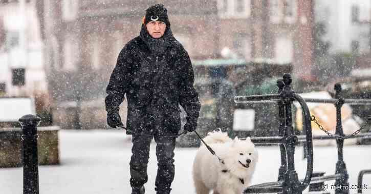 Snow predicted for parts of UK as Met Office issues yellow weather warnings