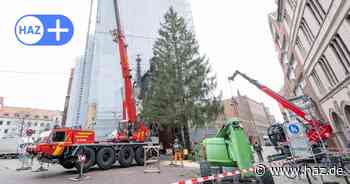 Der Weihnachtsbaum in Hannover steht – und sieht besser aus als 2023