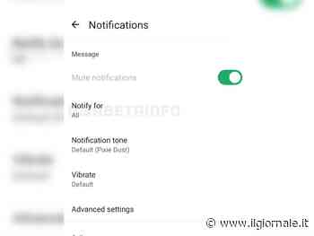 WhatsApp, in arrivo una nuova funzione per le notifiche dei gruppi: come funziona