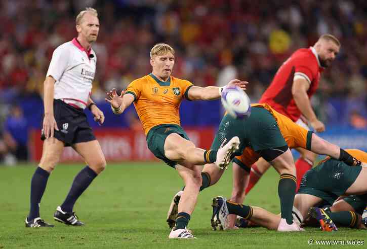 Wallabies searching for ‘repeatability’