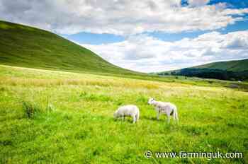 Concern raised as Wales&#39;s agricultural funding could see major fall