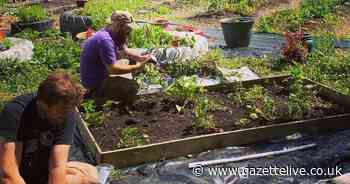 Feast of celebrations for food security group after being served coveted King's award