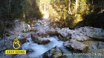 Einfach magisch: Der Zauberwald in der Ramsau