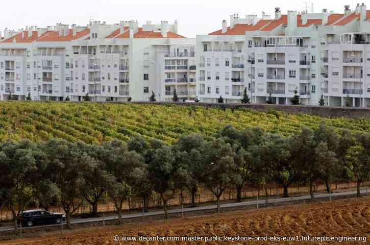 Carcavelos: Salt-lined sweetness from the 'Portuguese Riviera'