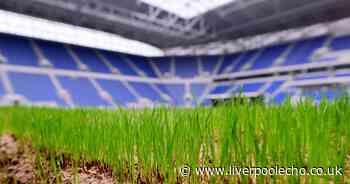 New Everton Stadium pictures released as playing surface transformed and home dugout revealed