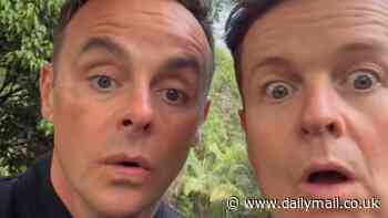 Ant and Dec send fans into hysterics with joke about needing 'more days off' ahead of new series of I'm A Celebrity