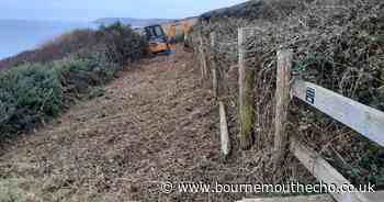 Coastline fencing being replaced to stop cows ‘escaping into the sea'