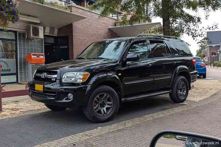 Deze gigantische Toyota Sequoia kwam bijna meteen naar Nederland – In het Wild