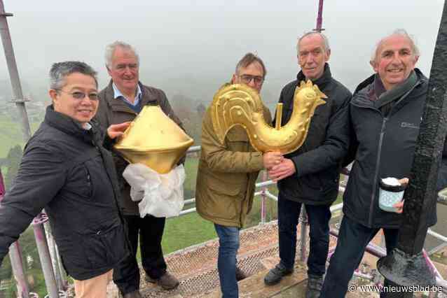 Windhaan terug thuis op kerktoren Heikruis