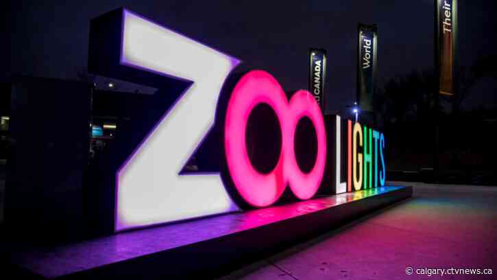 'Enchanting experience': Zoolights 2024 kicks off at Calgary Zoo