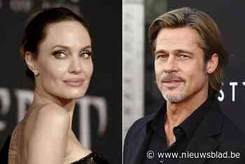 Ruzie tussen Brad Pitt en Angelina Jolie over wijngaard eindigt voor de rechter