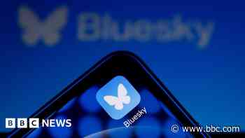 X users jump to Bluesky - but what is it and who owns it?