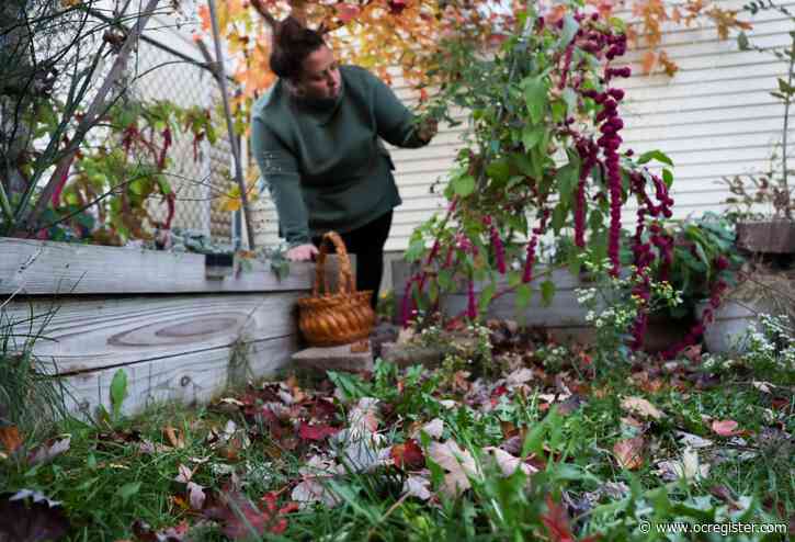 More people embracing leaves: ‘What falls in my yard stays in my yard’