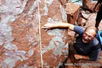 Un dinosaure des Alpes-Maritimes sera visible au salon des Minéraux de Nice