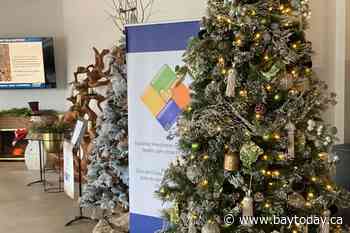 Festival of Trees and All Things Christmas annual fundraiser keeps holiday spirit alive