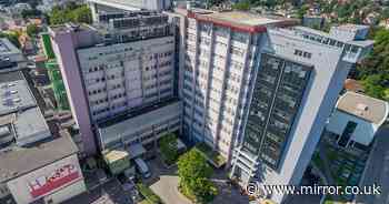 Brain surgeon lets daughter, 13, drill hole in unsuspecting patient's skull during operation