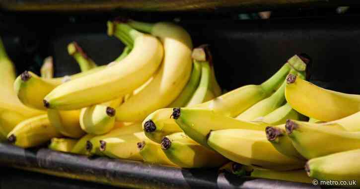 Politician’s crippling fear of bananas means she can’t be in a room with one