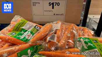 Cheap 'clickbait' carrots used to lure shoppers at farmers' expense, supermarket inquiry hears